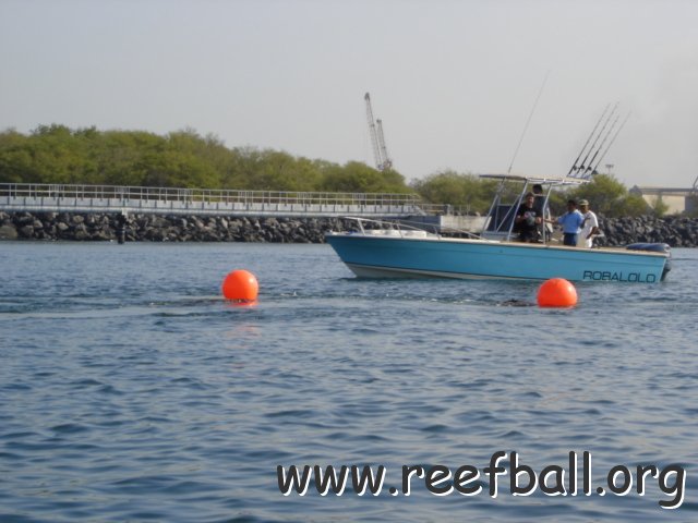 guatemalamarinebiologistpics_073