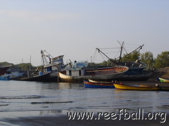 guatemalamarinebiologistpics_018