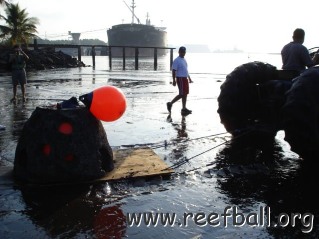 guatemalamarinebiologistpics_033