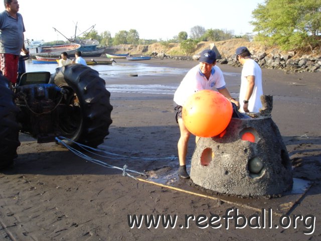 guatemalamarinebiologistpics_047