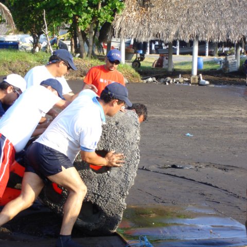 guatemalamarinebiologistpics_041