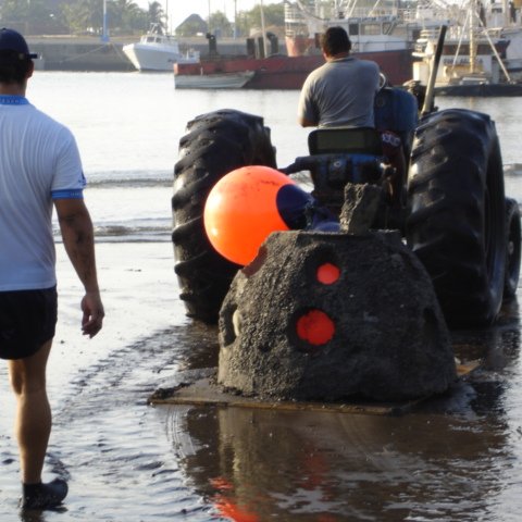 guatemalamarinebiologistpics_049