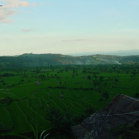DSC01570 DSC01570