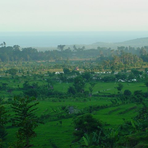 DSC01571 DSC01571