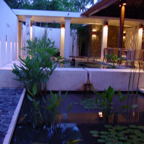 DSC01573 DSC01573