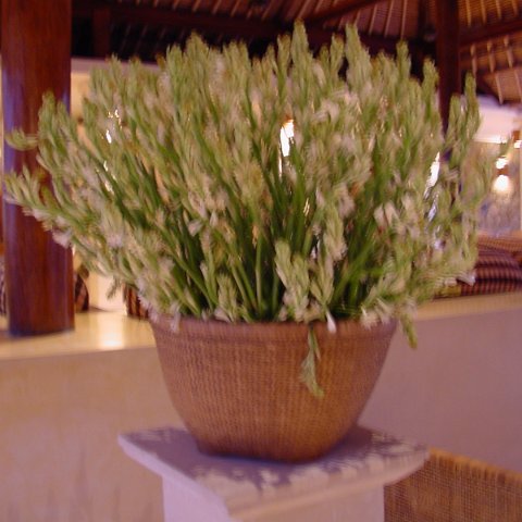 DSC01574 DSC01574