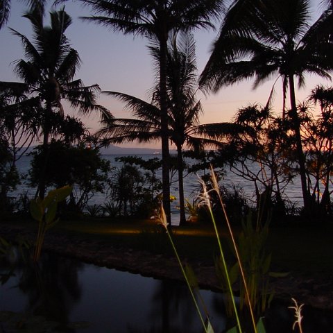 DSC01579 DSC01579