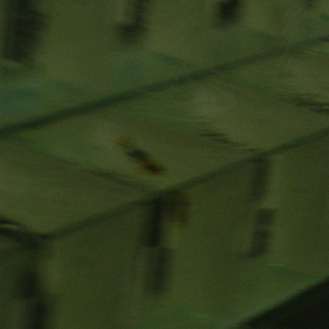 DSC01584 DSC01584
