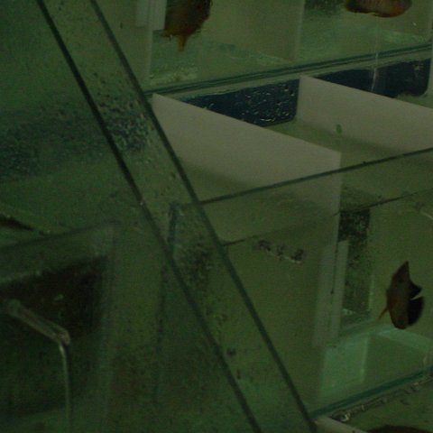 DSC01585 DSC01585