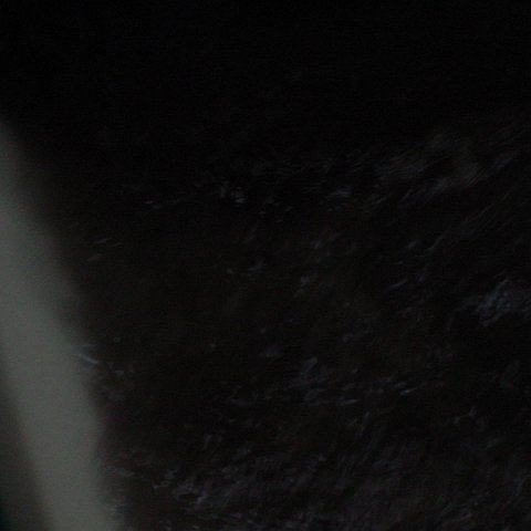 DSC01587 DSC01587