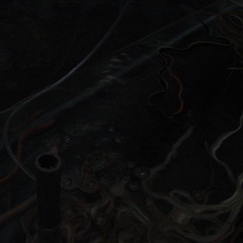DSC01590 DSC01590