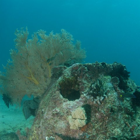 DSC_0204 DSC_0204