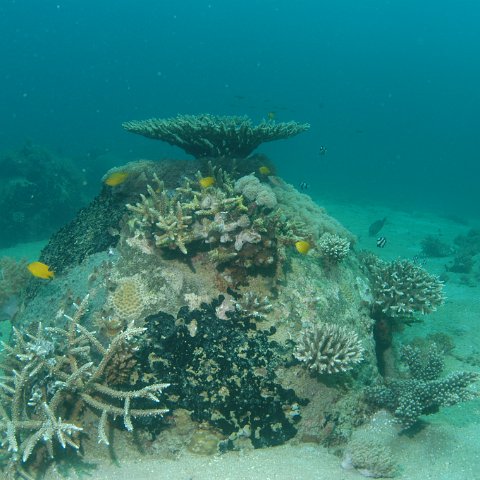 DSC_0221 DSC_0221