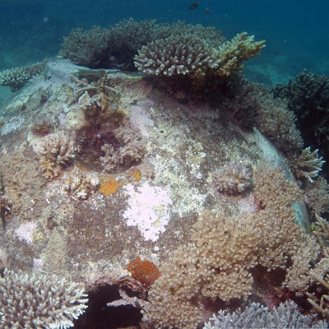 dsc_0026 dsc_0026