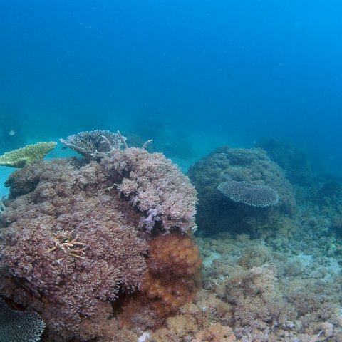 dsc_0216 dsc_0216