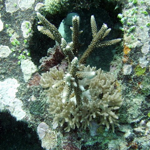 IMG_0093 IMG_0093