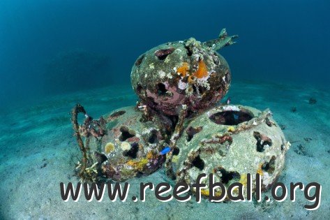 matthew-oldfield-reef-balls-on-the-sea-bed-indonesia
