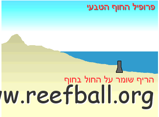 reef_animation1