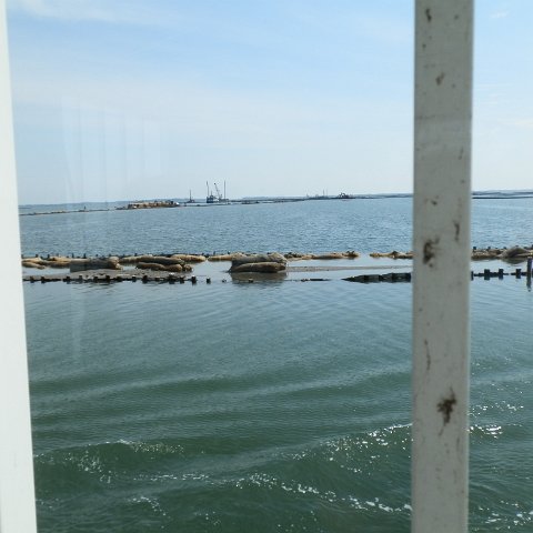 P4170020 P4170020