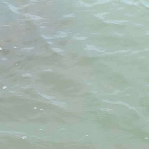 P4180072 P4180072