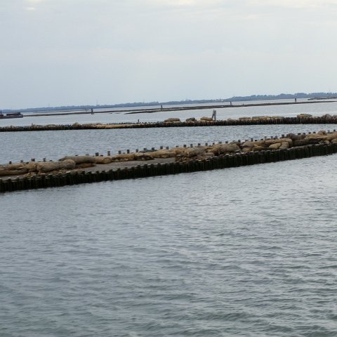 P4180080 P4180080
