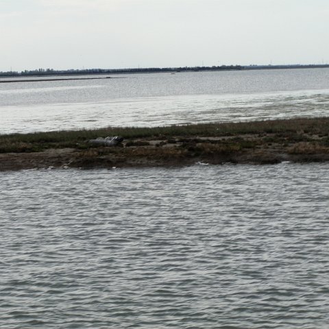 P4180084 P4180084