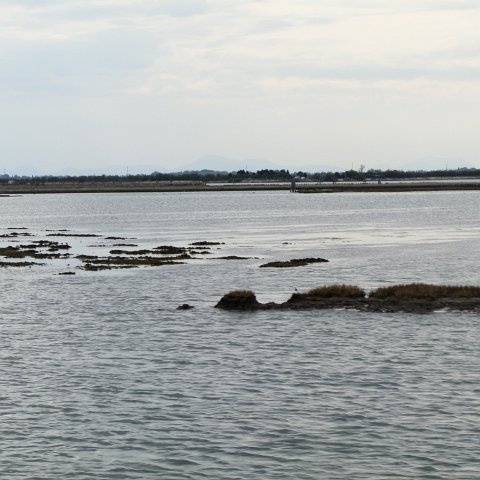 P4180085 P4180085