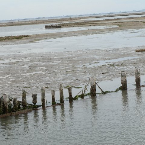 P4180090 P4180090