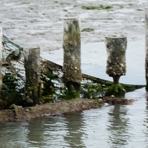 P4180091 P4180091