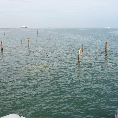 2012_03_30 026 2012_03_30 026
