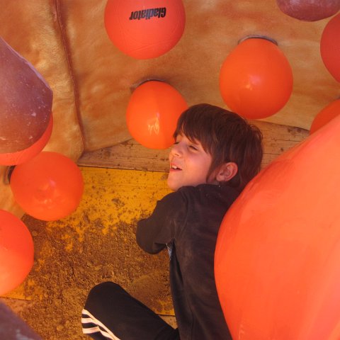 IMG_1810 IMG_1810