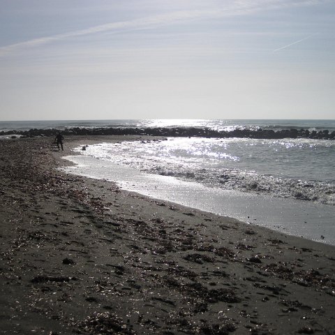 IMG_1850 IMG_1850