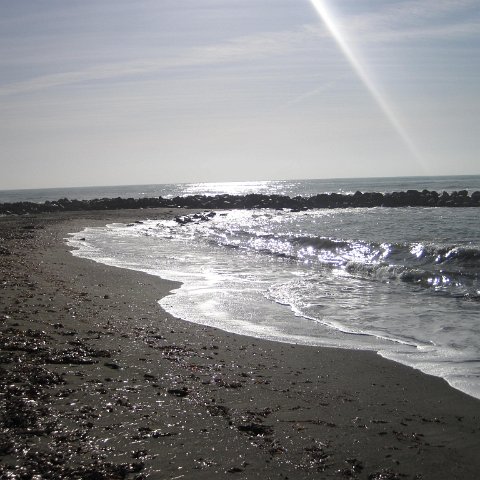 IMG_1853 IMG_1853