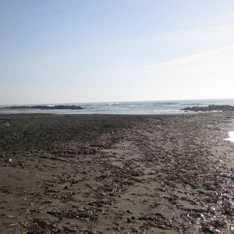 IMG_1854 IMG_1854