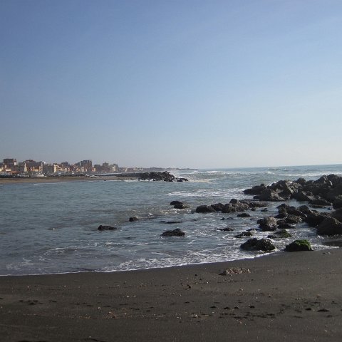 IMG_1856 IMG_1856