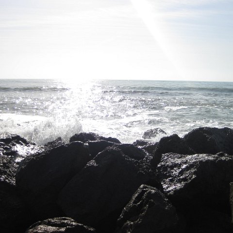 IMG_1857 IMG_1857