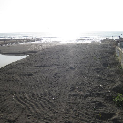 IMG_1860 IMG_1860