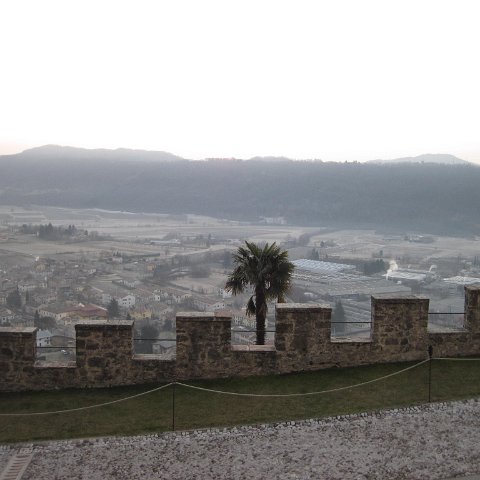 IMG_1626 IMG_1626