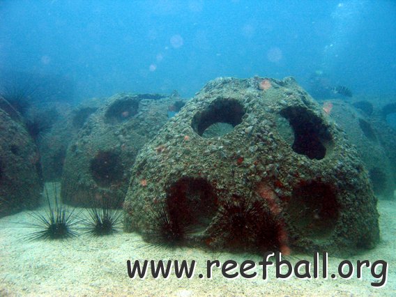 reef-ball