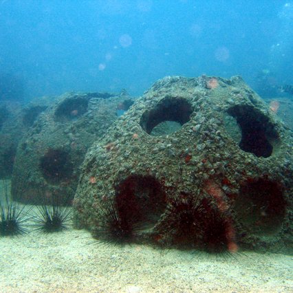 Italian Reef Ball Projects and Photos Italian Reef Ball Projects and Photos