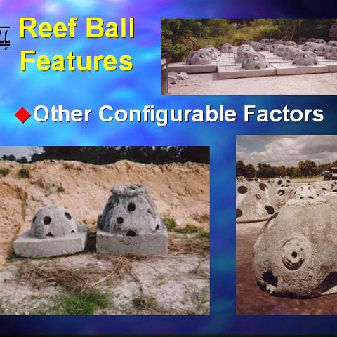 slide16 slide16