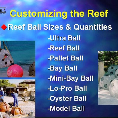 slide23 slide23