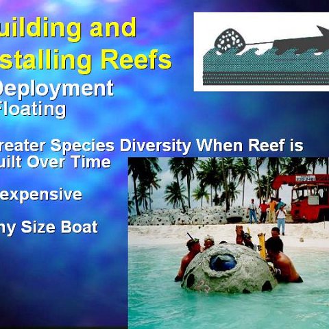 slide31 slide31