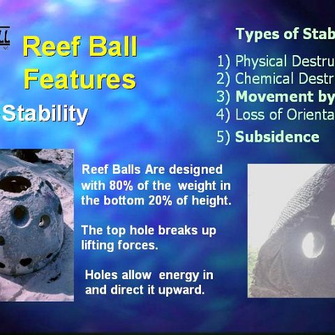 slide8 slide8