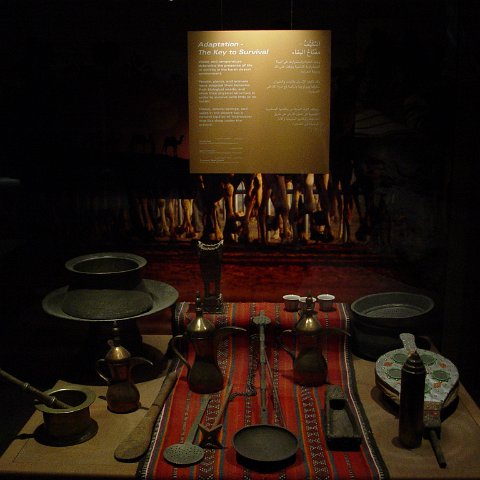 DSC03084 DSC03084