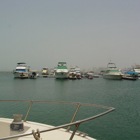 DSC03210 DSC03210