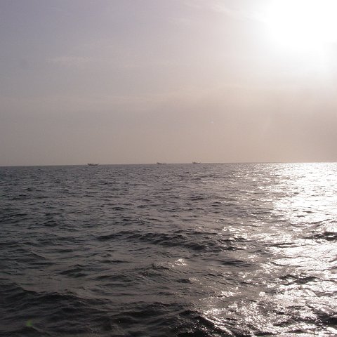 DSC03211 DSC03211