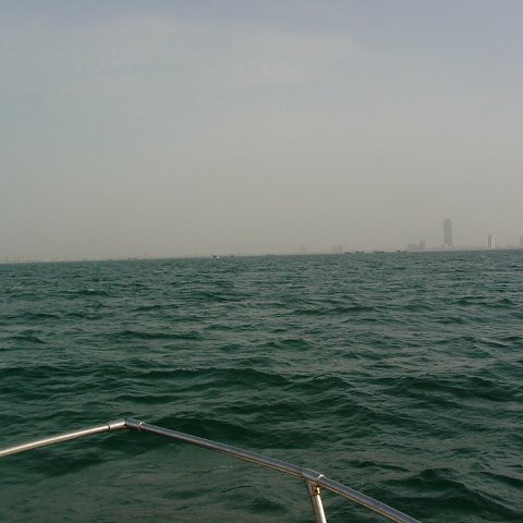 DSC03214 DSC03214