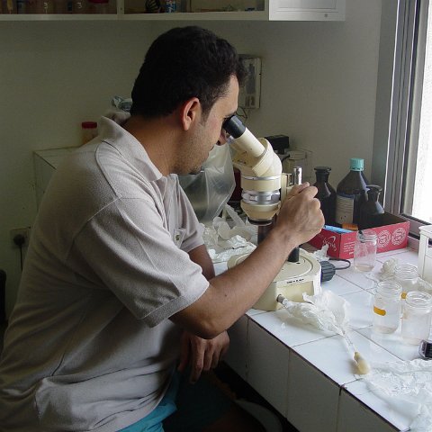 DSC03230 DSC03230