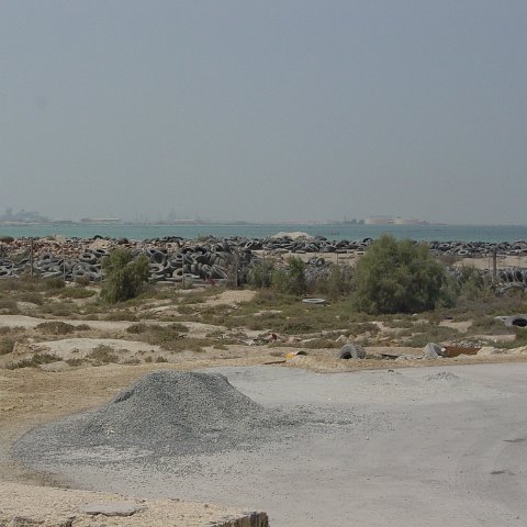 DSC03235 DSC03235
